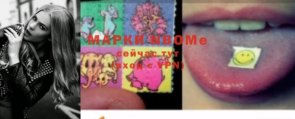 сатива Аркадак