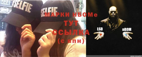 дурь Алексин