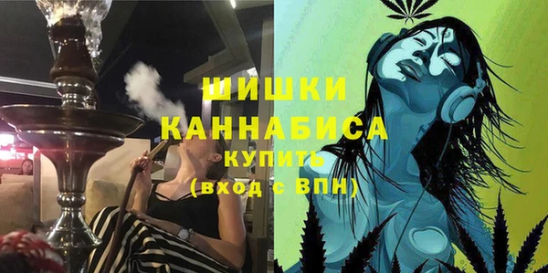 молекула духа Михайловск