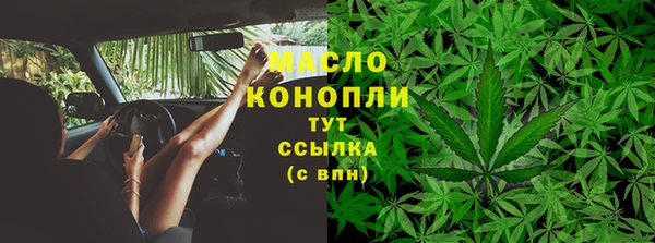 молекула духа Михайловск