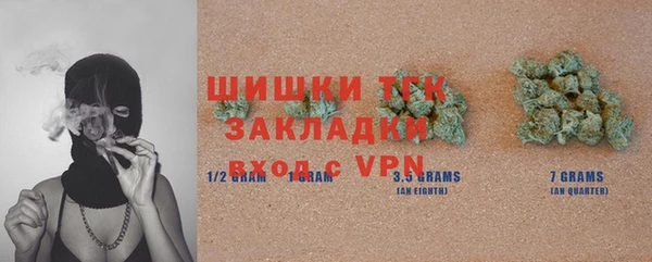 сатива Аркадак
