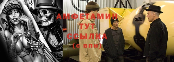 сатива Аркадак
