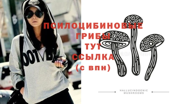 сатива Аркадак