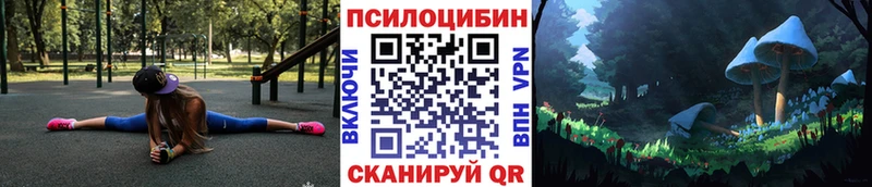 Галлюциногенные грибы GOLDEN TEACHER  Купить  Верхоянск 